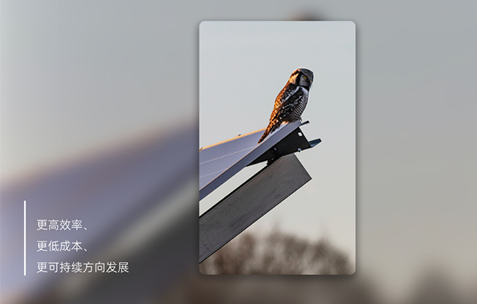 贝斯特 - 全球最奢华的游戏平台
