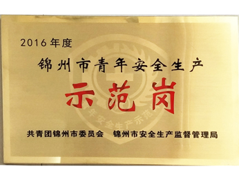 2016年度锦州市青年安全出产示范岗
