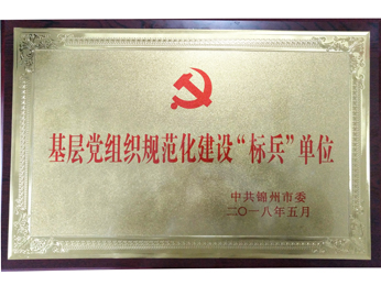 2018基层党组织规范化建设“标兵”单元