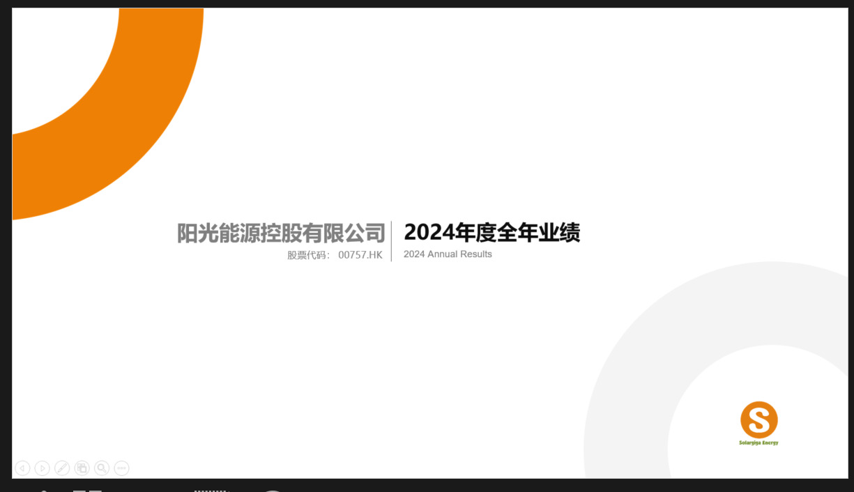  2024年度整年业绩